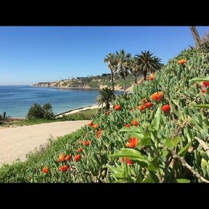 Meet your Posher, Ecolife